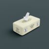 Tissue Box Packaging