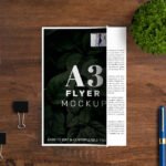 A3 Flyer